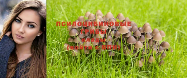 гидропоника Кинешма