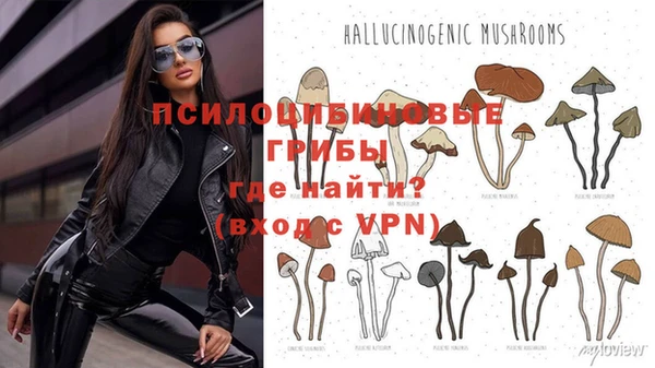 гидропоника Кинешма