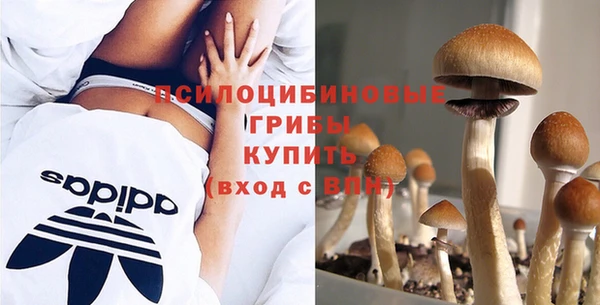 ECSTASY Карталы