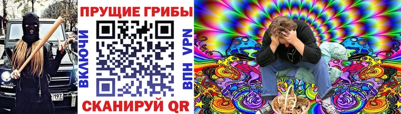 Купить Губкин Галлюциногенные грибы Psilocybine cubensis